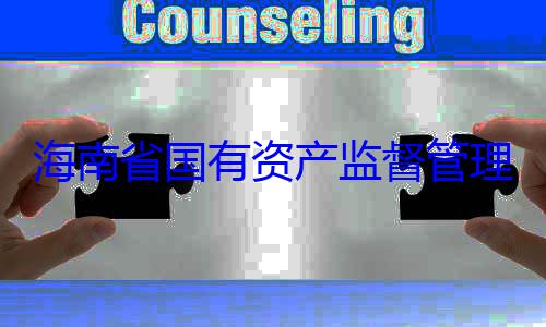 理委员会党委副书记王有福接受审海南省国有资产监督管查调查